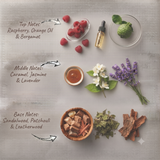 A styled flat-lay of fragrance ingredients arranged on a light gray textured surface, with handwritten text labeling top notes, middle notes, and base notes. Visible items include raspberries, a small amber dropper bottle, a green bergamot, a bowl of amber liquid, white jasmine flowers, purple lavender stems, dried green herbs, and pieces of sandalwood and patchouli.